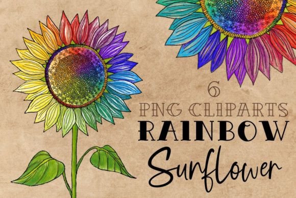 Download Gay Pride Rainbow Cute Sunflower Drawing - Cute Collection